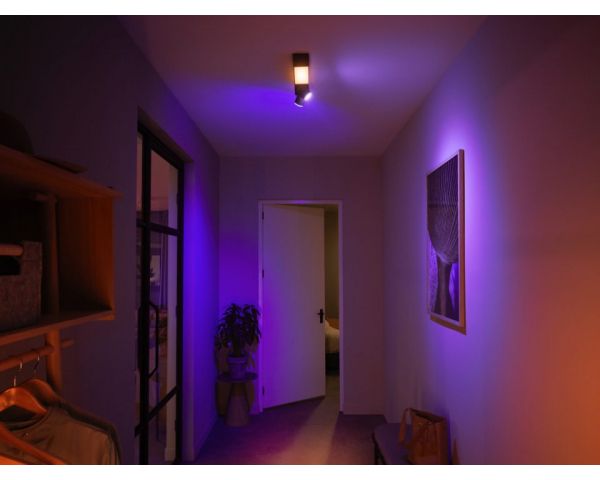 Plafón de dos luces CENTRIS - Philips Hue - Negro