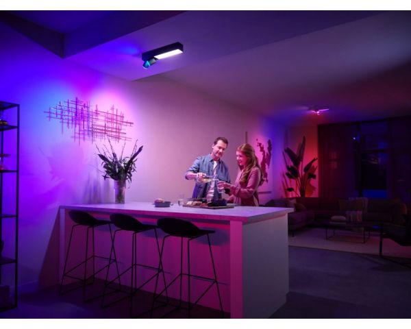 Plafón de dos luces CENTRIS - Philips Hue - Negro