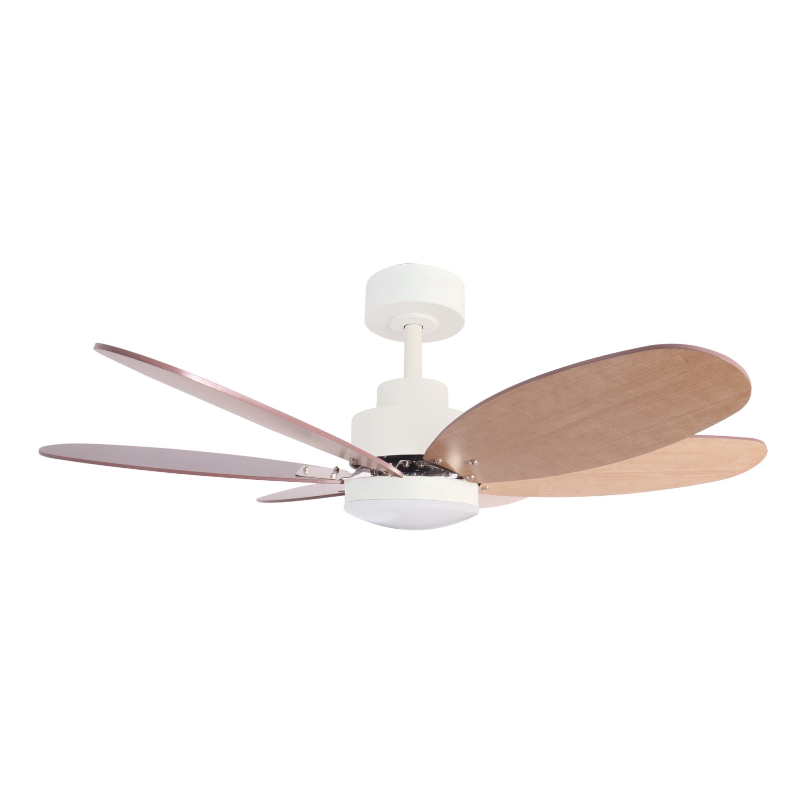 Ventilador RAINBOW M