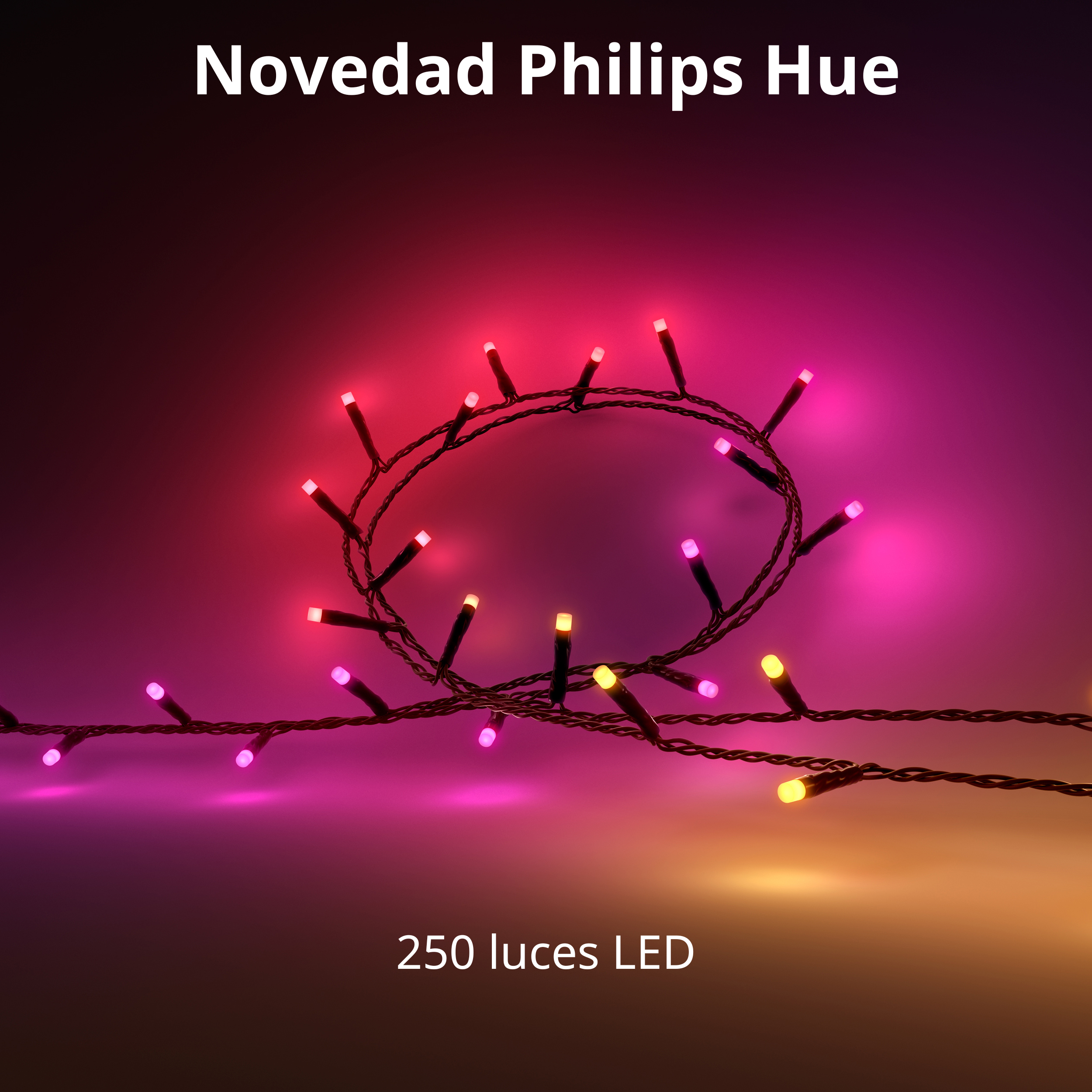 Guirnalda luces -  Festavia, 250 minileds, 30W, Sincronización música, Cable 20m | Philips Hue